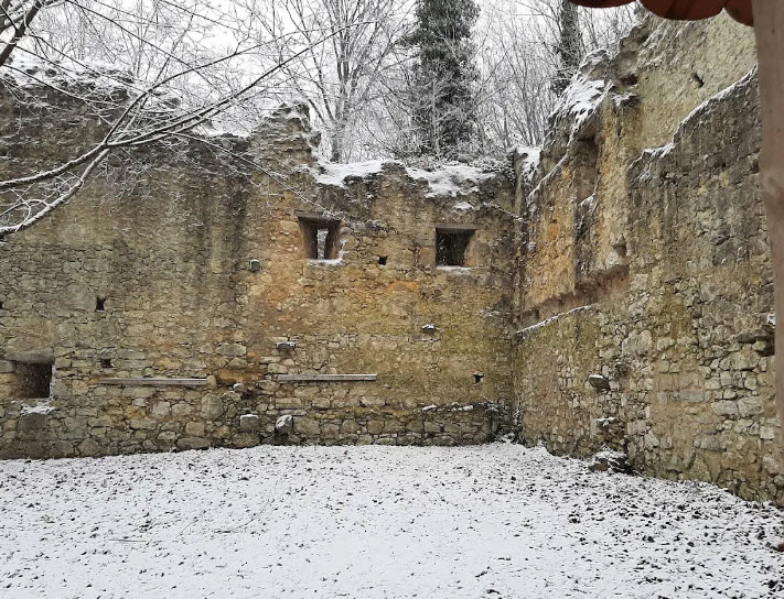 Burgruine Steinhart, Germany